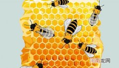 蜂蜜为什么不适合冷冻 蜂蜜可以放冰箱吗