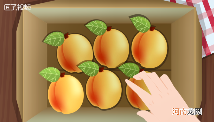 鲜黄桃如何冷冻保存