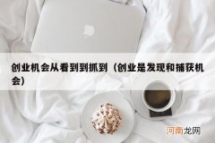 创业是发现和捕获机会 创业机会从看到到抓到