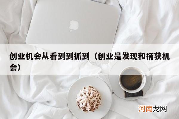 创业是发现和捕获机会 创业机会从看到到抓到