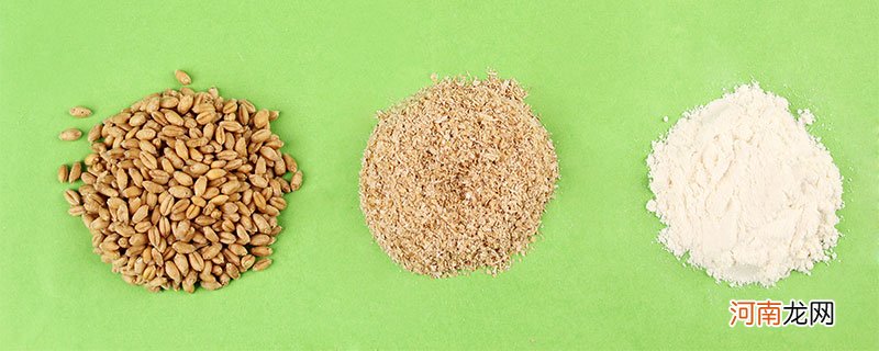 小麦粉和全麦粉有什么区别