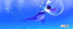 海豚为什么会救人