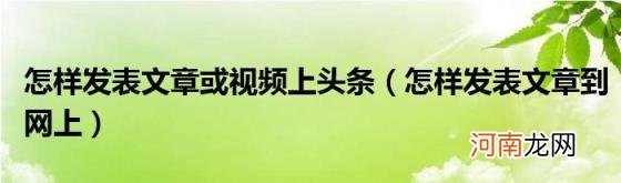 怎样发表文章到网上 怎样发表文章或视频上头条