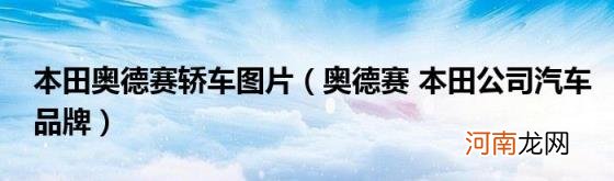 奥德赛本田公司汽车品牌 本田奥德赛轿车图片