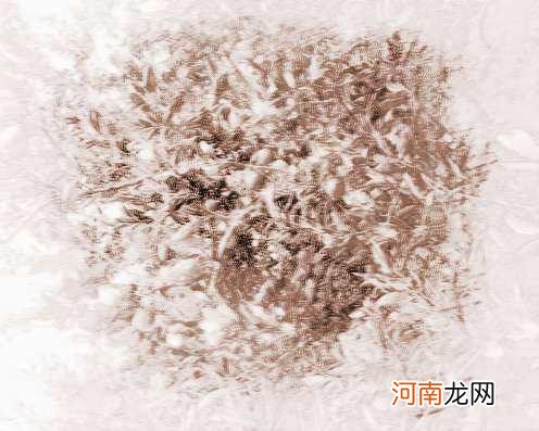 周公解梦橘子 周公解梦橘子树上有橘子掉在手上接着