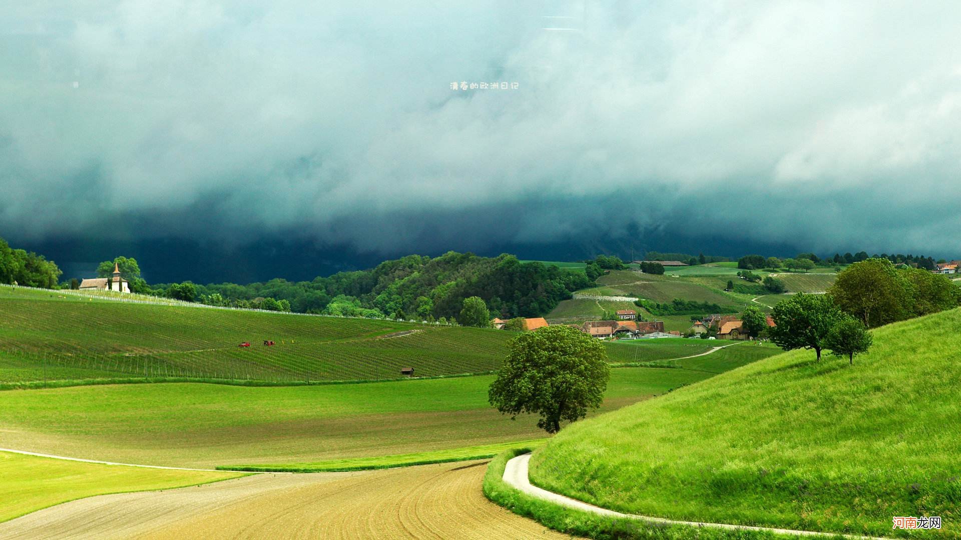 属龙的人,将来财运好,婚姻不稳