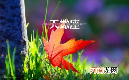 天蝎运势2016 天蝎座2018运势