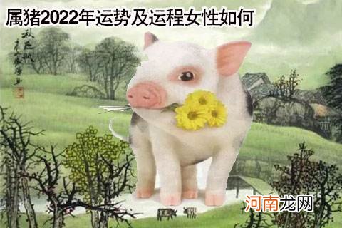 如何看运势 如何看运势同步