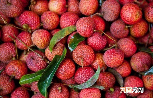 荔枝如何存放冰箱保鲜 荔枝怎么保存时间长一点呢