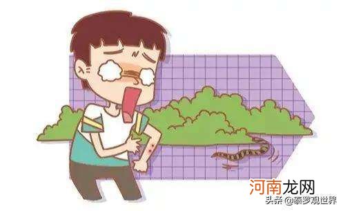 梦到蛇咬自己腿我把蛇弄死 梦到我把蛇咬死了