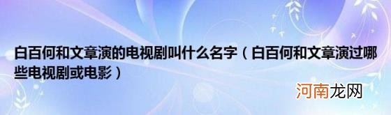 白百何和文章演过哪些电视剧或电影 白百何和文章演的电视剧叫什么名字