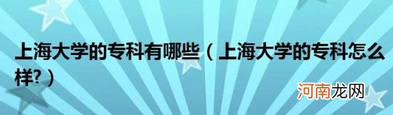 上海大学的专科怎么样? 上海大学的专科有哪些