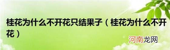 桂花为什么不开花 桂花为什么不开花只结果子