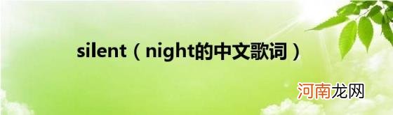 night的中文歌词 silent