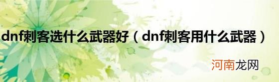 dnf刺客用什么武器 dnf刺客选什么武器好