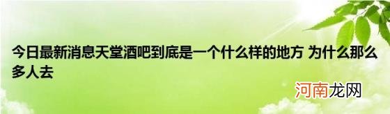 今日最新消息天堂酒吧到底是一个什么样的地方为什么那么多人去