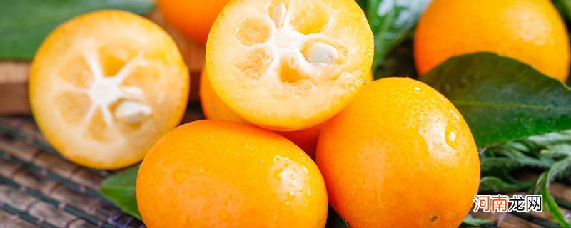 滑皮金桔和脆蜜金桔有什么区别