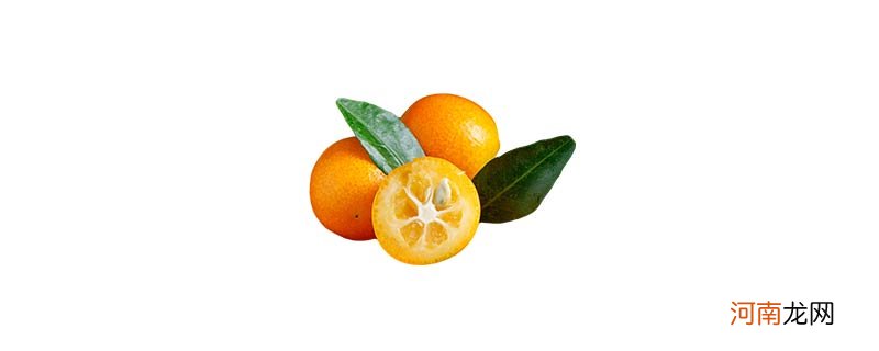 滑皮金桔和脆蜜金桔有什么区别