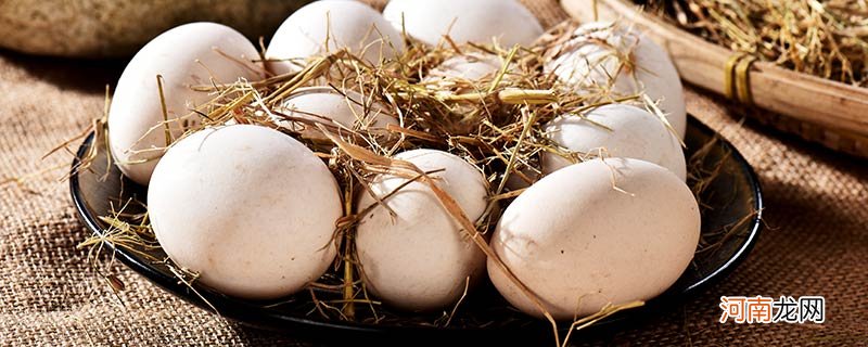 童子蛋是哪个地方的特产