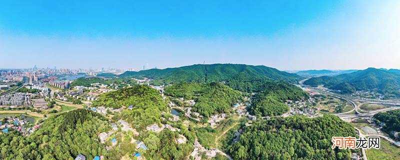 岳麓山海拔多少米