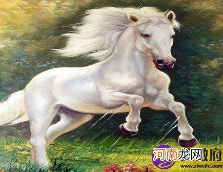 属马明年运势 属马明年运势2021