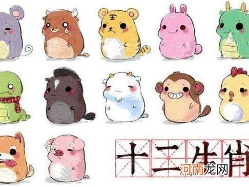 十二肖2017年运势 2018年十二生肖运势