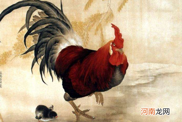 属鸡2017年每月运势 属鸡2017年每月运势如何