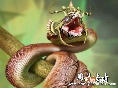 刚结婚女人梦见蛇 刚结婚女人梦见蛇咬自己的手