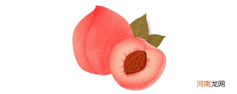 桃子是什么意思网络用语