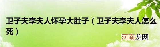 卫子夫李夫人怎么死 卫子夫李夫人怀孕大肚子