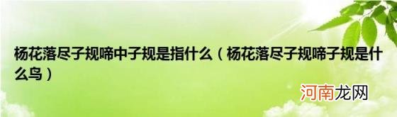 杨花落尽子规啼子规是什么鸟 杨花落尽子规啼中子规是指什么