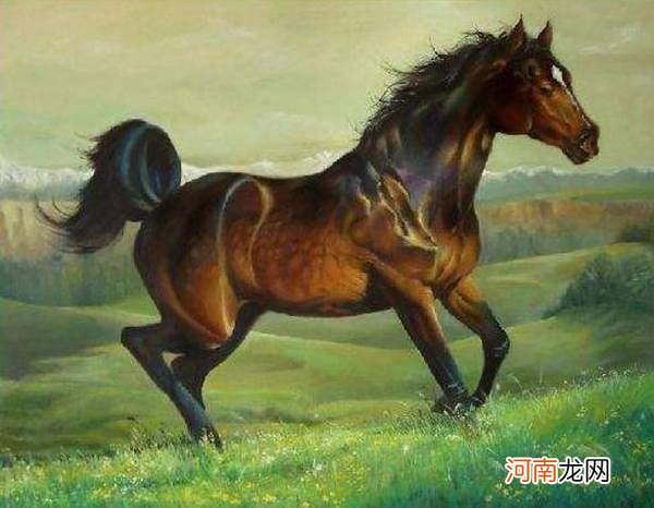 属马今年的运势 90年属马今年的运势