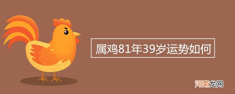 属鸡11月运势 属鸡的11月命运怎么样?