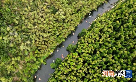 依靠绿水青山发展乡村旅游