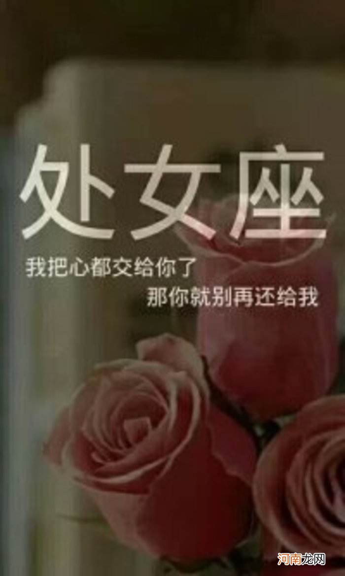 处女座男人星座屋 处女座男人星座屋图片