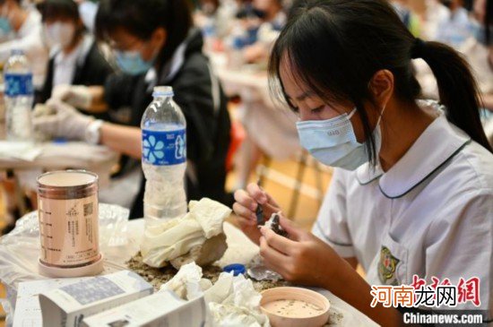 香港师生参与内地云端游学活动体验考古乐趣