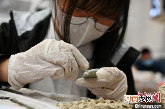 香港师生参与内地云端游学活动体验考古乐趣