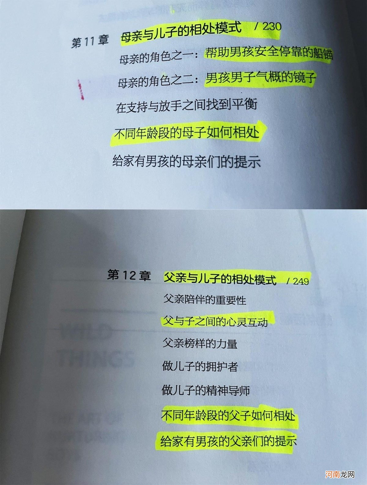 那些长大后受欢迎的男孩，父母都做对了3点，值得所有爸妈学习