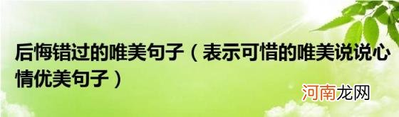 表示可惜的唯美说说心情优美句子 后悔错过的唯美句子