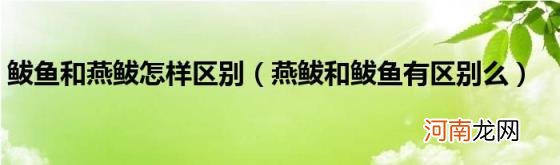 燕鲅和鲅鱼有区别么 鲅鱼和燕鲅怎样区别