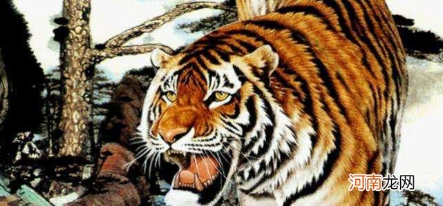 属虎2017年7月运势 属虎2017年7月运势如何