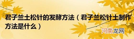君子兰松针土制作方法是什么 君子兰土松针的发酵方法