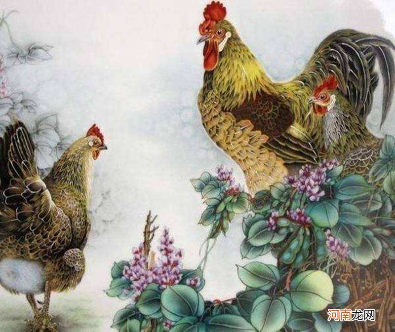 2016属鸡运势 属鸡2017年运势