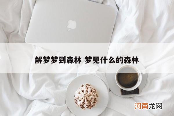 解梦梦到森林 梦见什么的森林