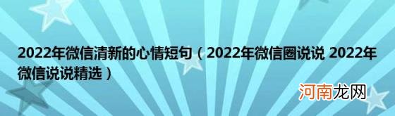 2022年微信圈说说2022年微信说说精选 2022年微信清新的心情短句