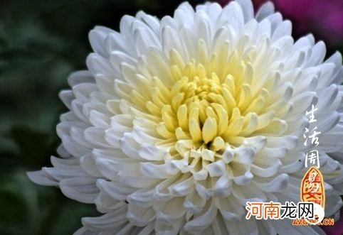 经常梦到死去的亲人是什么意思呀 经常梦见自己死去的亲人是什么意思