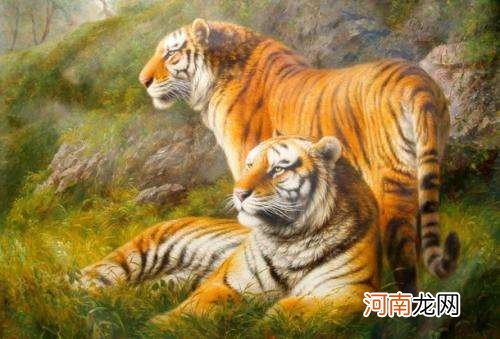 2017年属虎每月运势 属虎人2018年每月运势