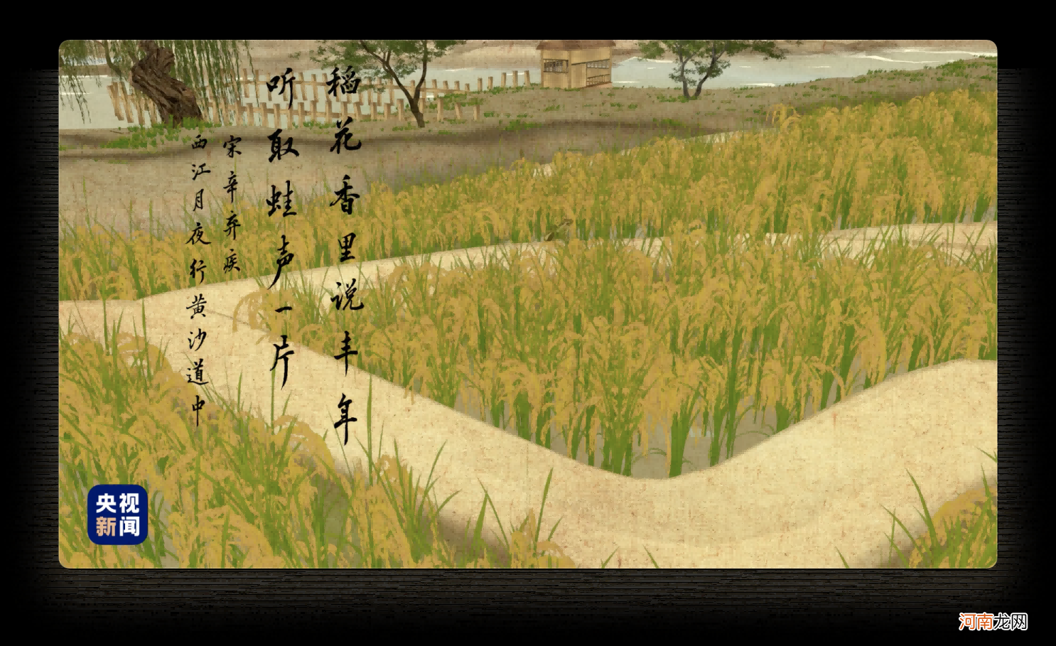 人间好时节丨立秋