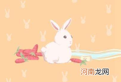 87年女兔2016年运势 87年兔女今年运势