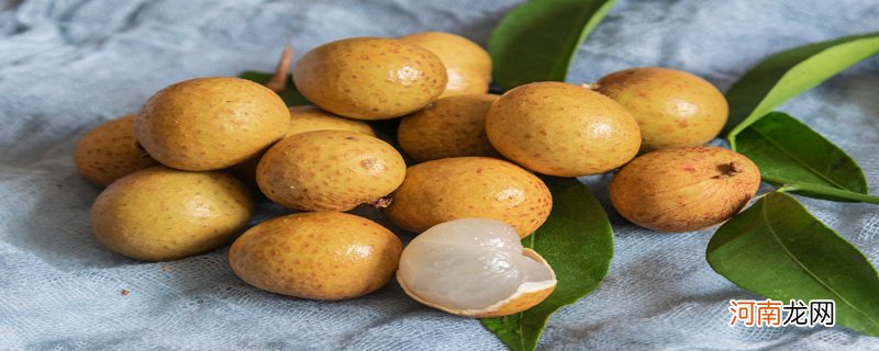 龙眼是哪里的特产